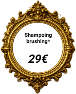 tarif femme shampoing brushing - Julien Brogi