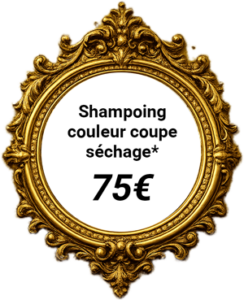 tarif femme shampoing couleur coupe séchage - Julien Brogi