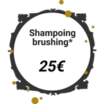Tarif shampoing brushing femme - Julien Brogi, coiffeur styliste visagiste à Rosière-près-Troyes